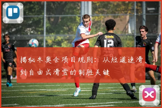 揭秘冬奥会项目规则：从短道速滑到自由式滑雪的制胜关键